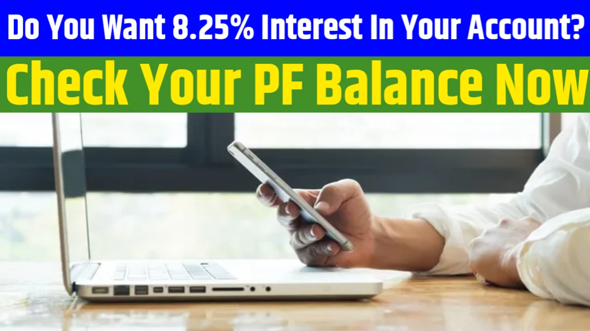 PF Interest